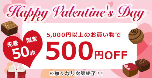 ＼ハッピーバレンタイン／先着50枚限定！500円OFFクーポン※枚数終了次第ご利用不可となります※