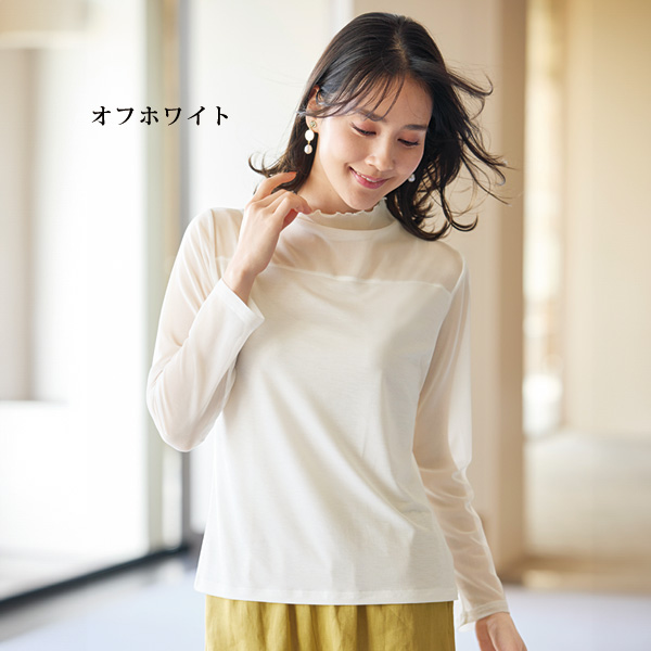 2色組 シアー切替え カットソープルオーバー