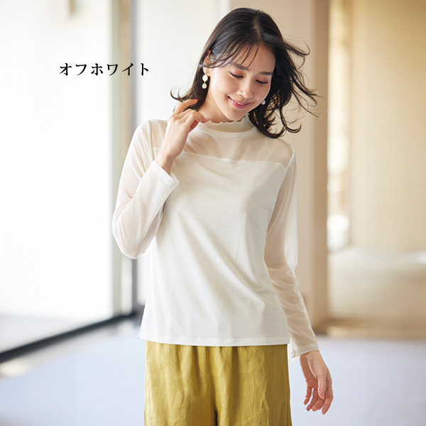 2色組 シアー切替え カットソープルオーバー