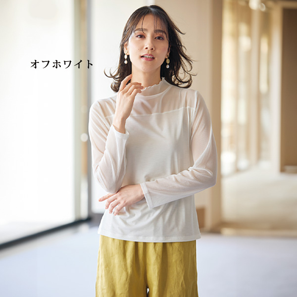 2色組 シアー切替え カットソープルオーバー
