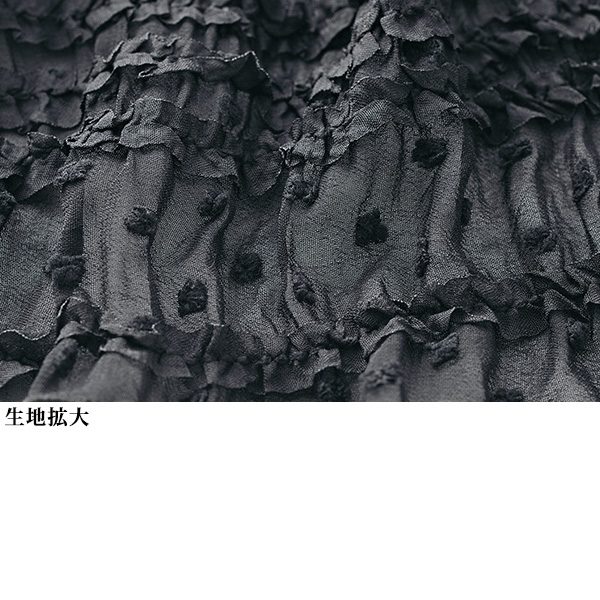 フリルドットシアーブラウス