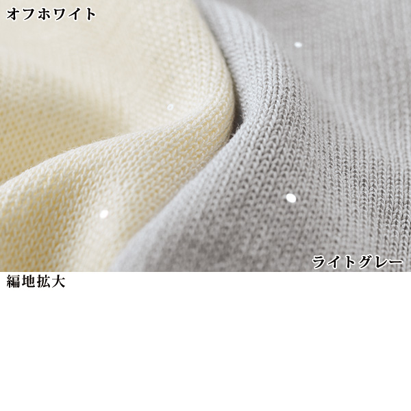 極小スパンコールニットプルオーバー