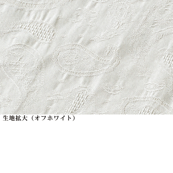 前後2WAYジャカードシャツ