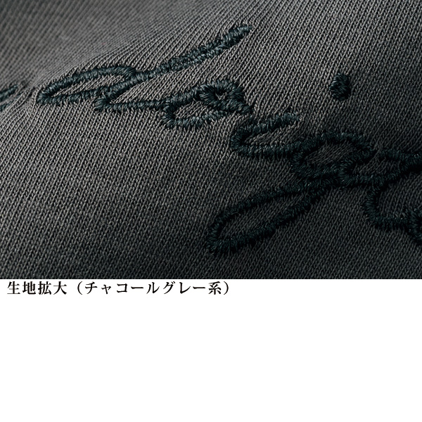 英字刺しゅう入りＴシャツ