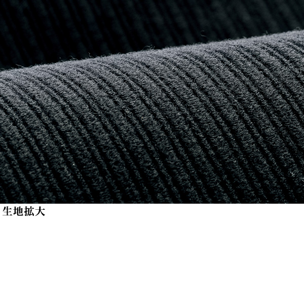 ロイカコーデュロイのびのびパンツ  / 大きいサイズ M L LL 3L
