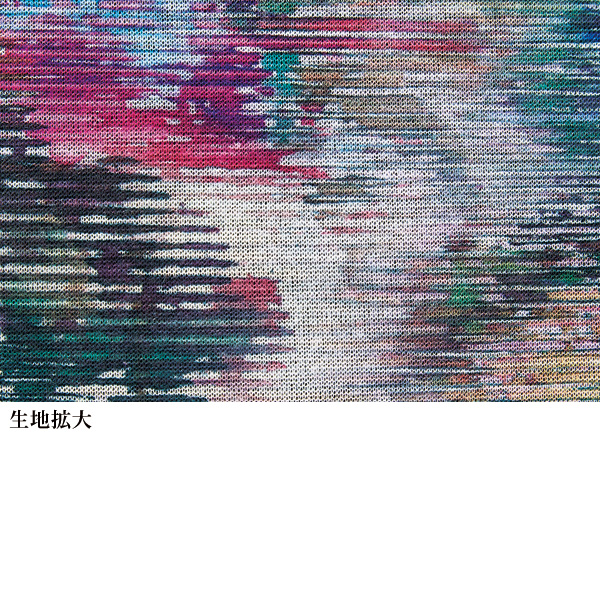 プリントプルオーバー / 大きいサイズ 4L