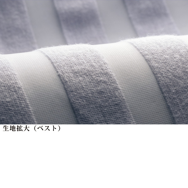 シアーボーダーベストアンサンブル