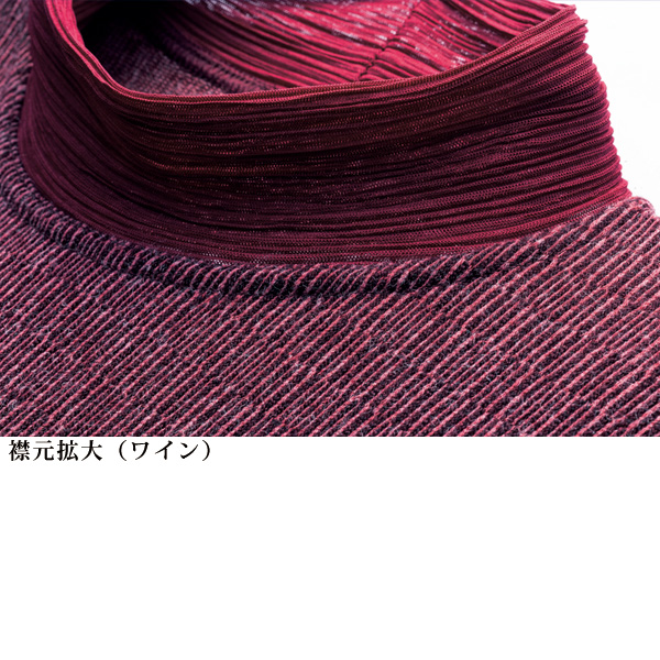 襟プリーツジャカードカットソープルオーバー