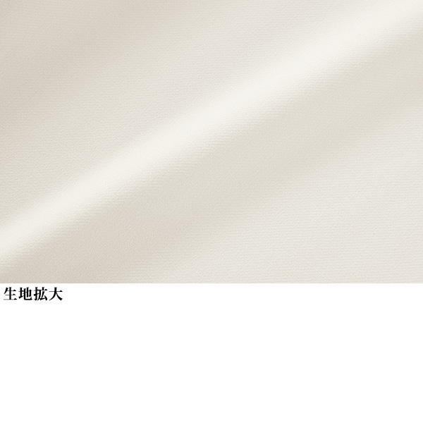 2ウェイストレッチストレートパンツ 大きいサイズ M LL 4L