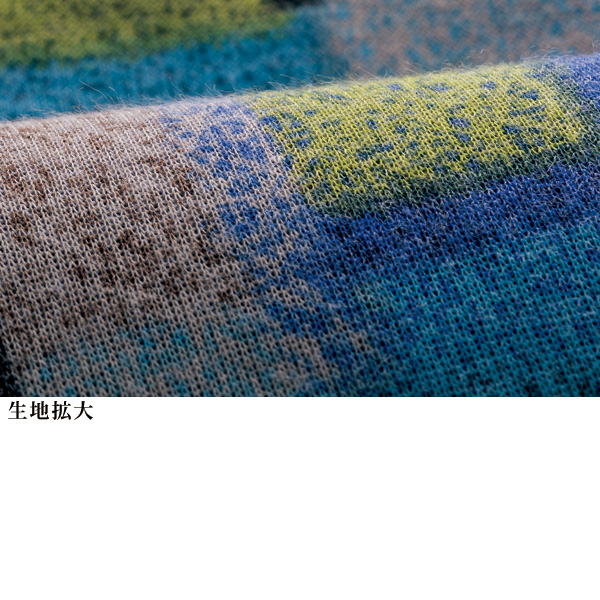 プリントリバーシブルプルオーバー