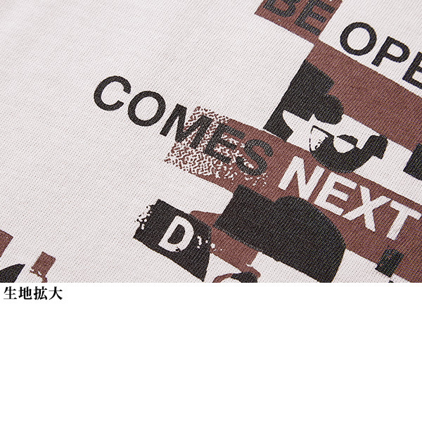 プリントＴシャツ 大きいサイズ M LL 4L