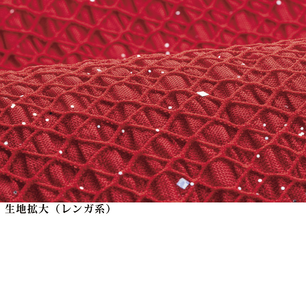 箔使いジャカードカットソープルオーバー