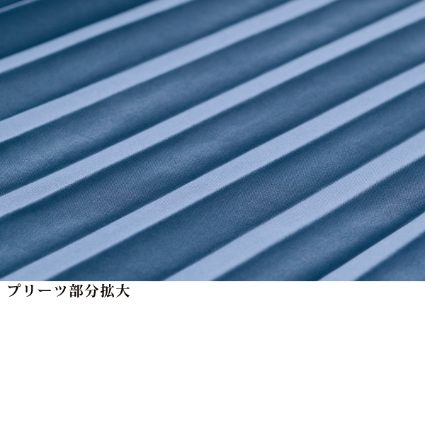 バックプリーツロングブラウス