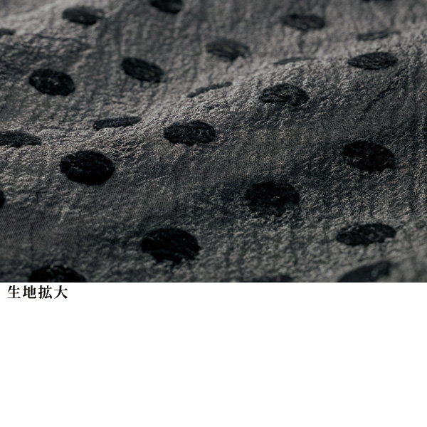 シアードット襟付プルオーバーブラウス