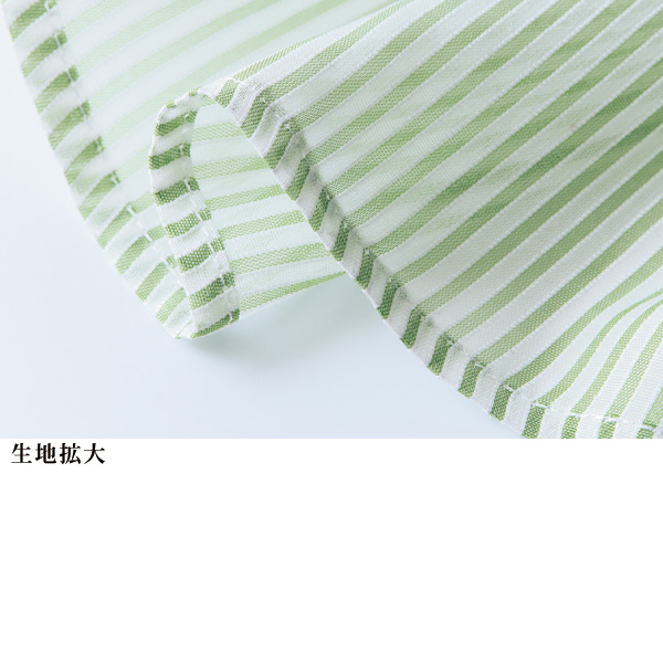 比翼仕立てバンドカラ－シアーストライプブラウス