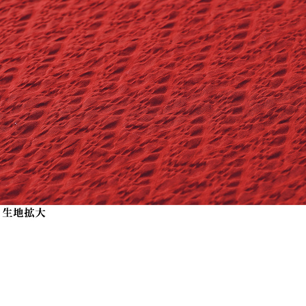 綿 塩縮 素材デザインオーバーブラウス