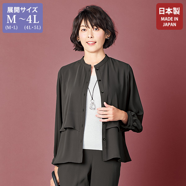 防シワ加工ティーアドブラウス 大きいサイズ M LL 4L