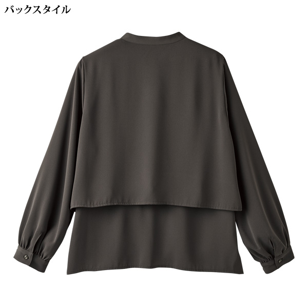 防シワ加工ティーアドブラウス 大きいサイズ M LL 4L