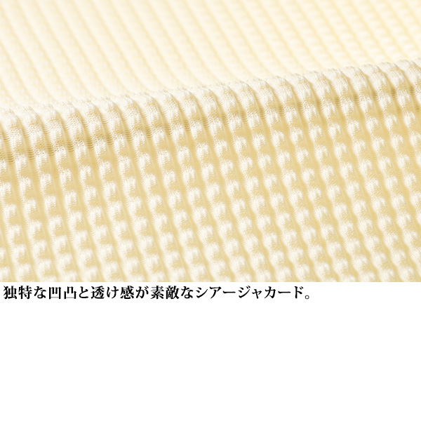 楽天市場】【4月4日-10日限定☆ポイント5倍】＜日本製＞シアー