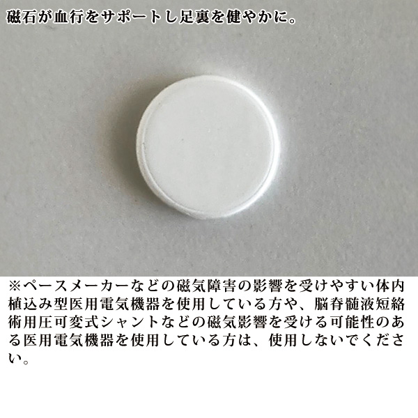 日本製 4E 磁気シューズ GOOD-RAKU