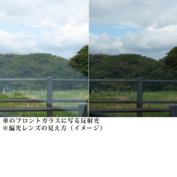 プリアベール 偏光調光オーバーグラス Preaveil