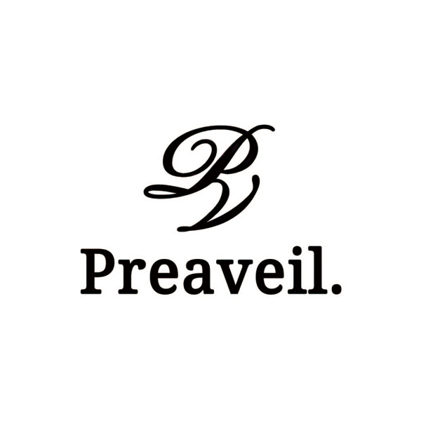 プリアベール 偏光調光オーバーグラス Preaveil