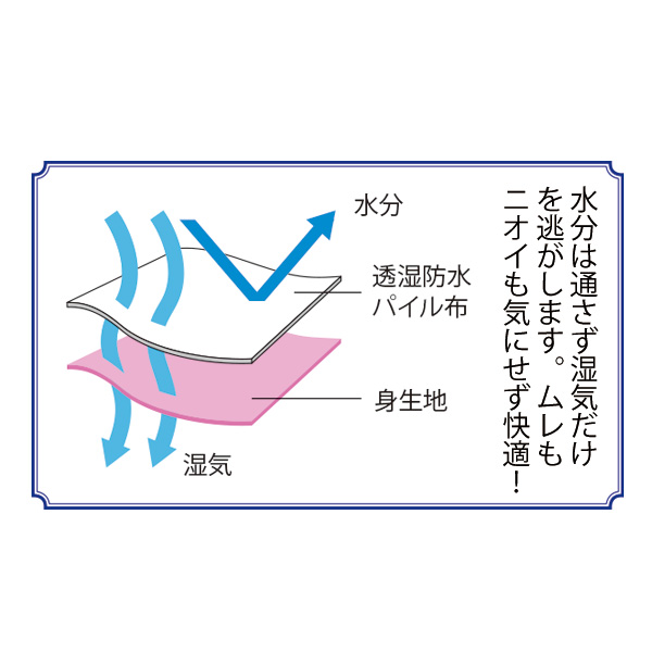 お腹・骨盤サポート紙パッド用安心ショーツ 大きいサイズ M L LL 3L 4L