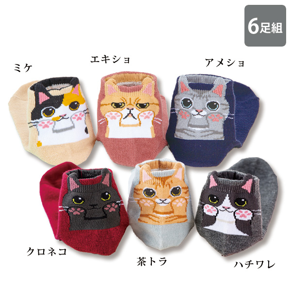 ひょっこり可愛いにゃんこソックス6足組