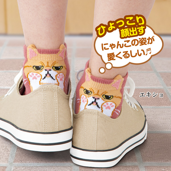 ひょっこり可愛いにゃんこソックス6足組