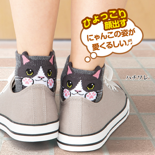 ひょっこり可愛いにゃんこソックス6足組