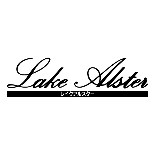 レイクアルスター 座ってしまえる収納ボックス２色組 Lake Alster