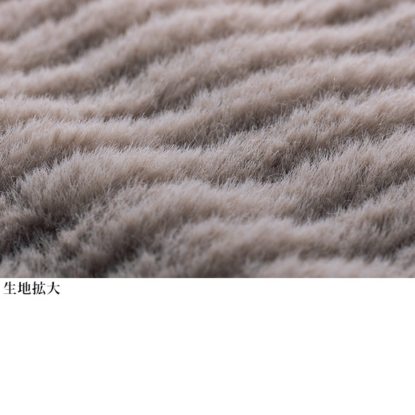 エコファーベスト◎