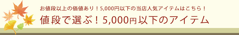 お値段以上の価値あり!5,000円以下の当店人気アイテムはこちら!値段で選ぶ!5,000円(税込)以下のアイテム