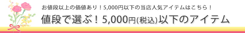 お値段以上の価値あり!5,000円以下の当店人気アイテムはこちら!値段で選ぶ!5,000円(税込)以下のアイテム